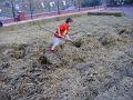 Preparazione campo (20)